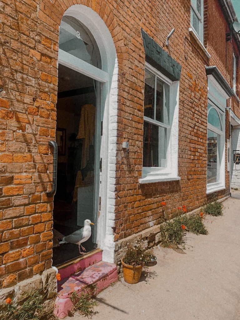 The shop front of our bridport store.